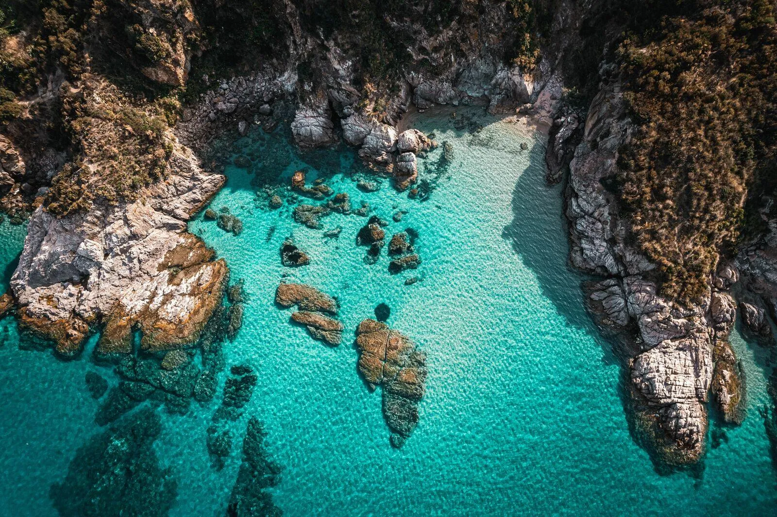 competition-thumbnail