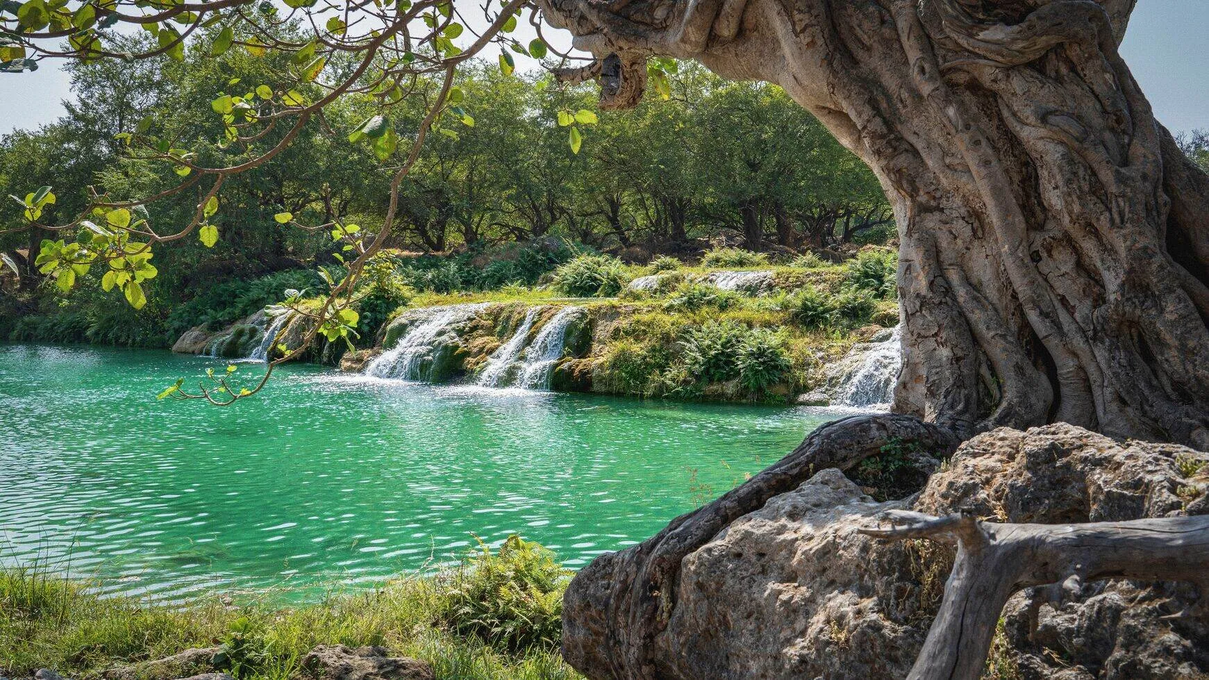 competition-thumbnail