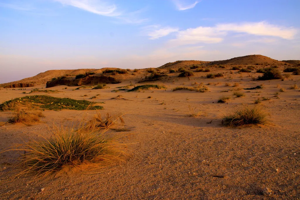 competition-thumbnail