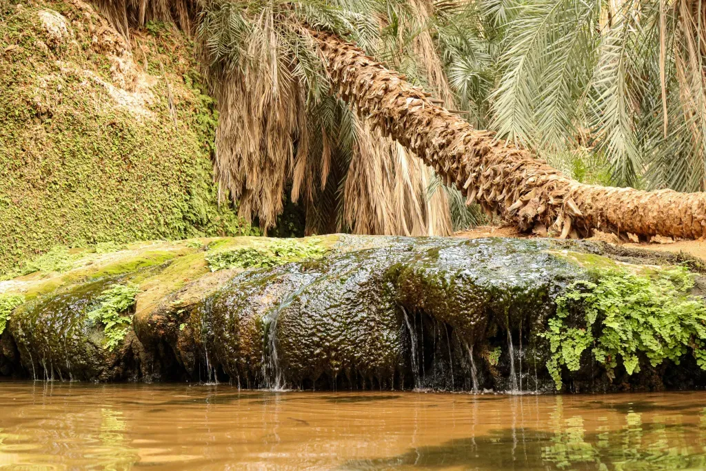 competition-thumbnail