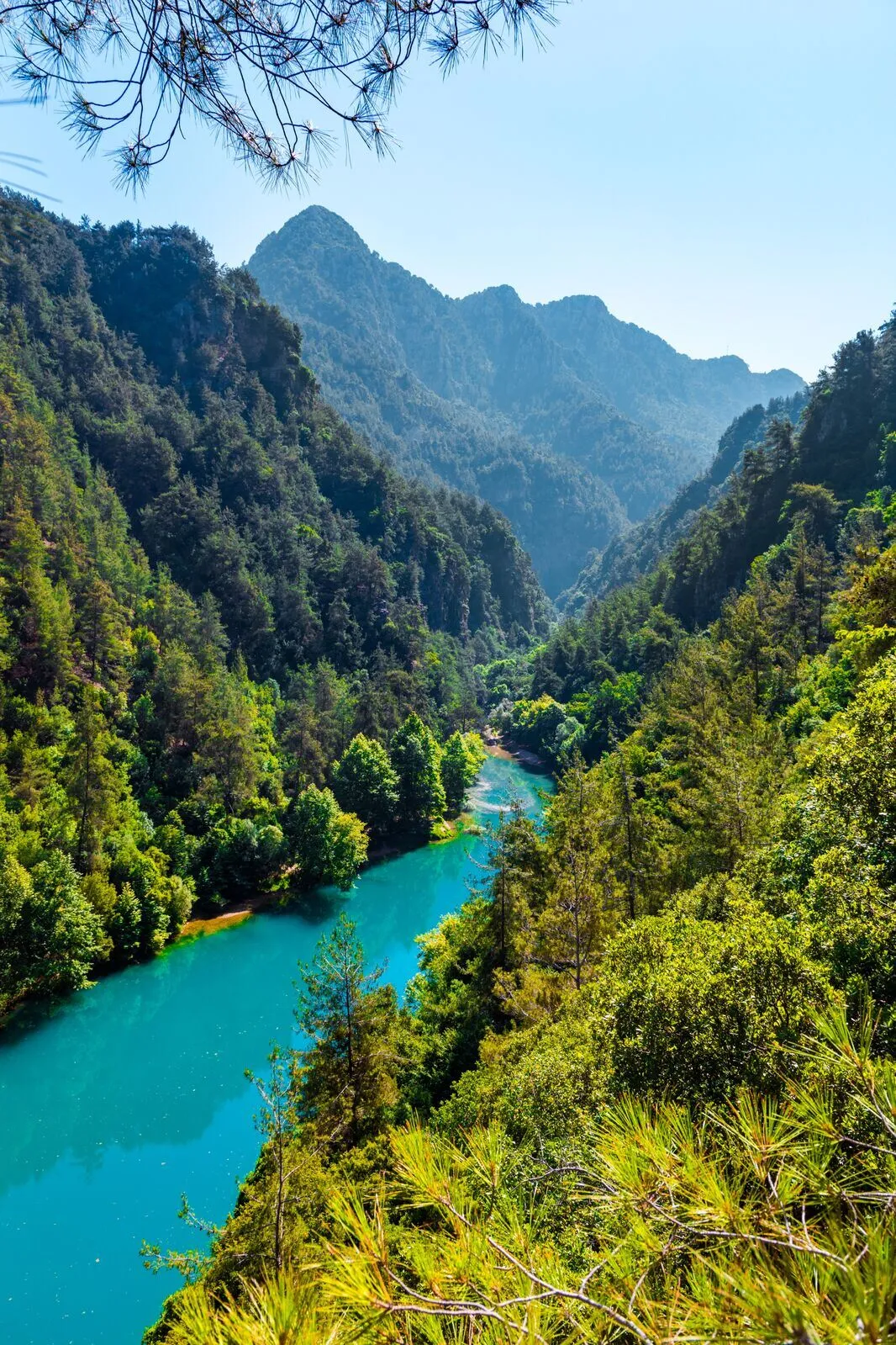 competition-thumbnail