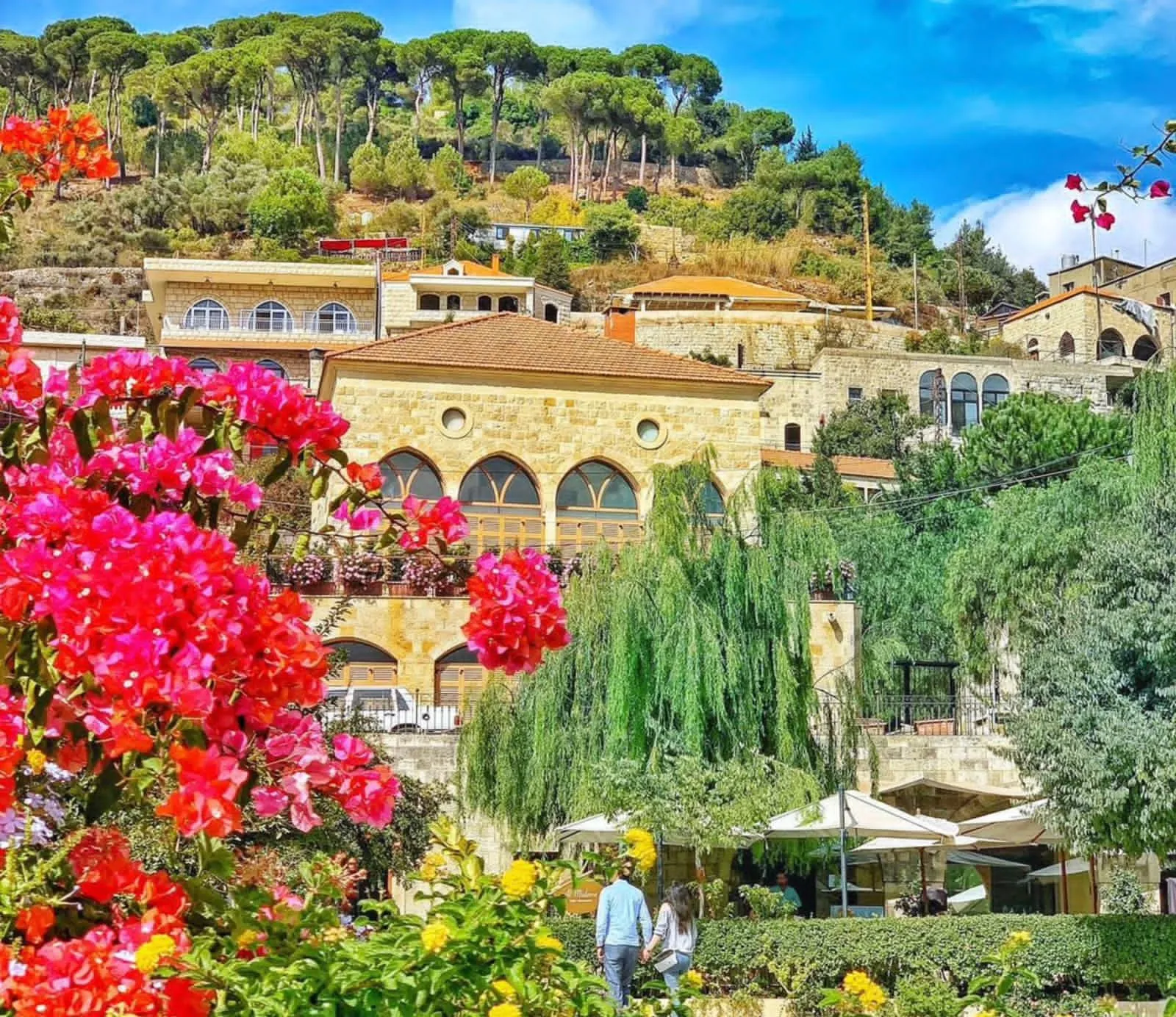 competition-thumbnail