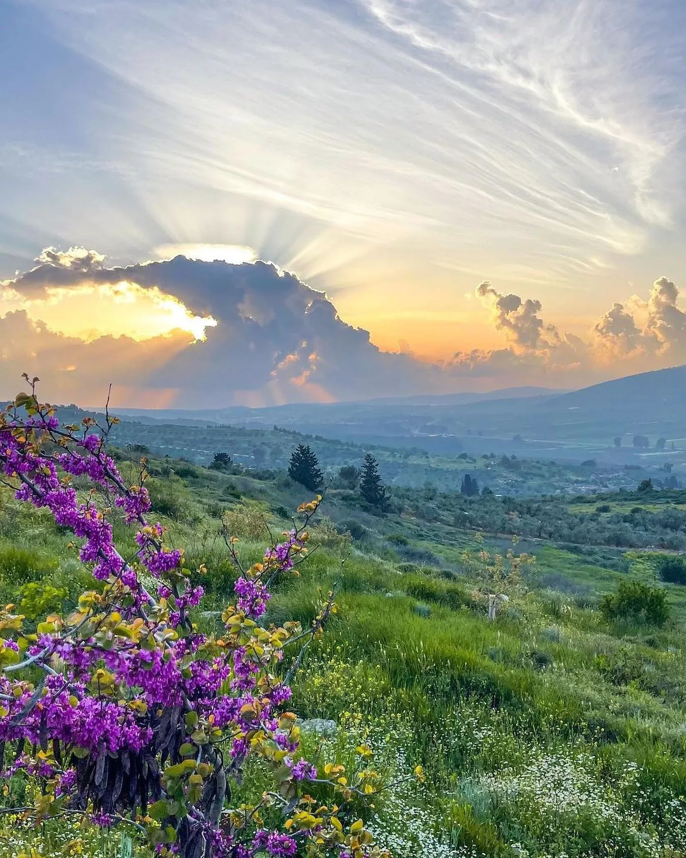 competition-thumbnail