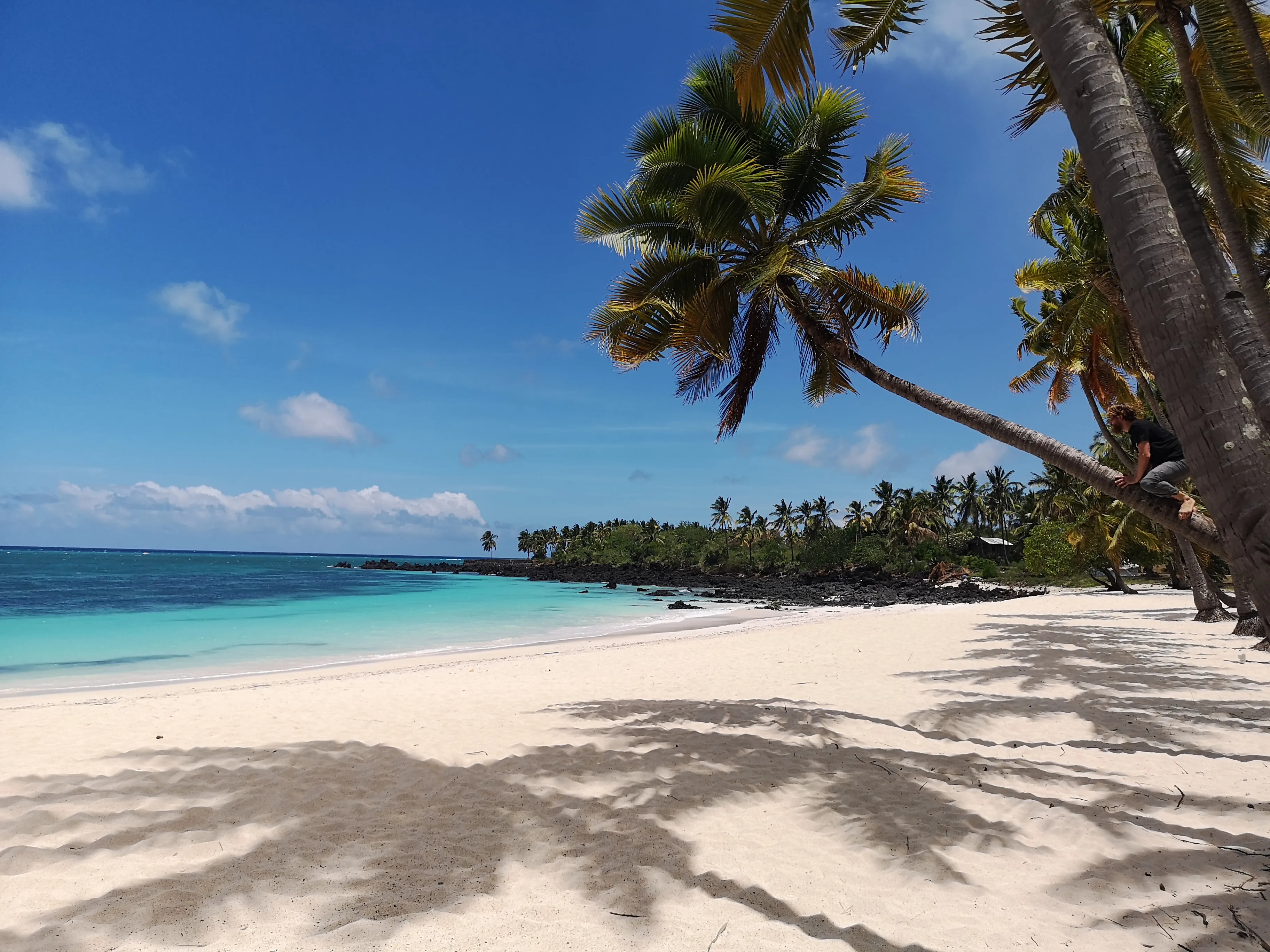 competition-thumbnail