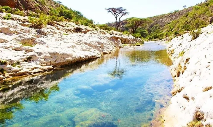 competition-thumbnail