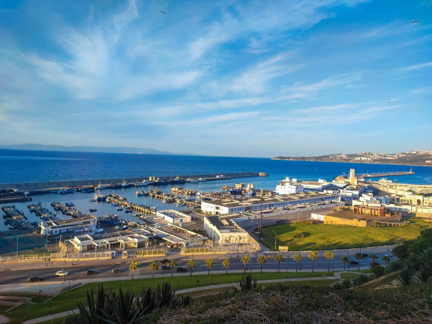 competition-thumbnail